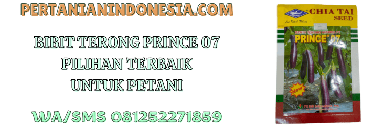 bibit,bibit terong,prince 07,benih,bisi,cap kapal terbang,chia tai seed,pertanian indonesia